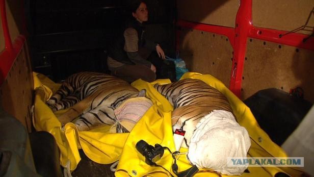 Наводнение в Чехии