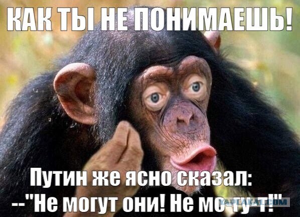 NYT: Байден разрешил наносить удары дальнобойным оружием США по территории РФ