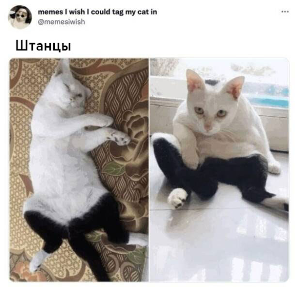 Завалялось тут случайно немного забавных картинок