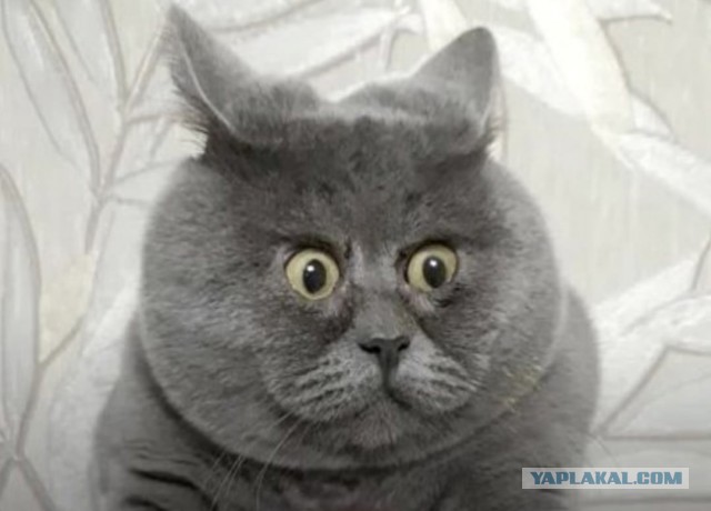 Московский дождь