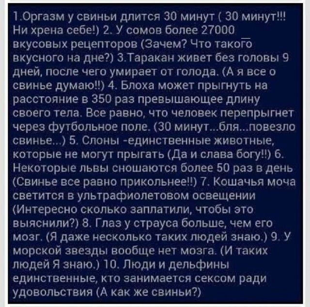Пошлый и взрослый юмор #4