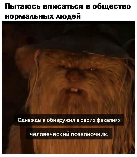 Чёрно-пошлая деградация