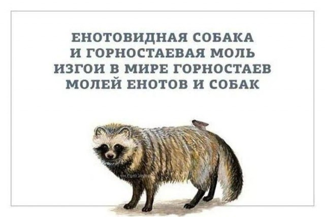 Картинки для деградации 128 (разной степени свежести)