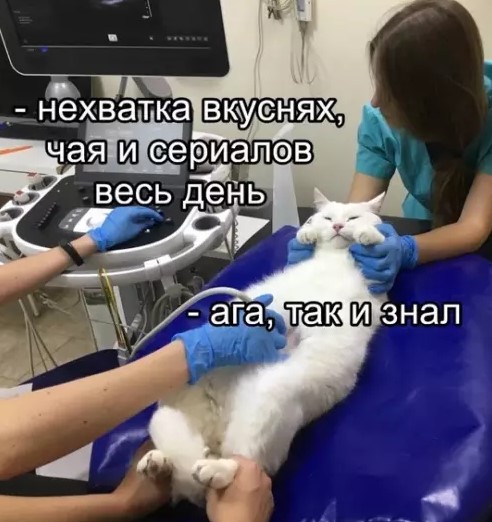 Картиночки, баянчики 21 марта