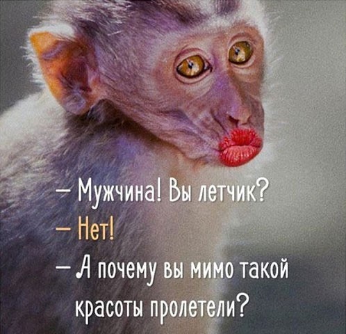 Украинка поясняет за красоту.