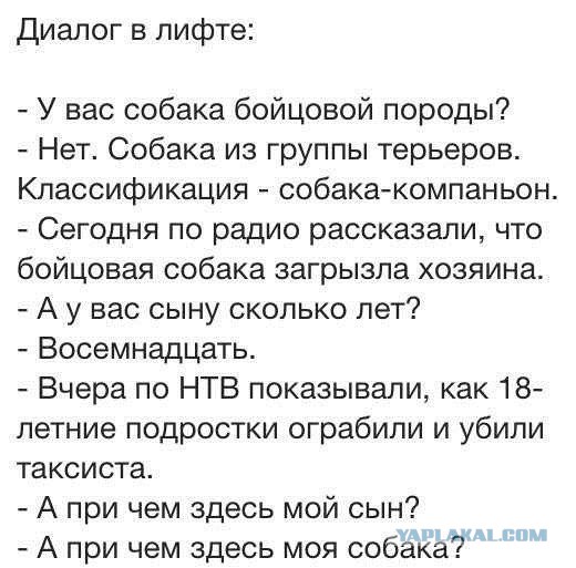 На тему собакосрача...
