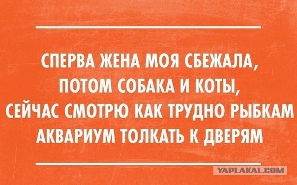 Подборка картинок