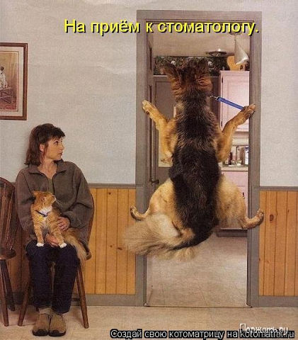 Немного позитива на пятницу.
