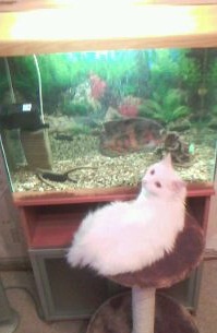Чёрт, чёрт, чёрт!