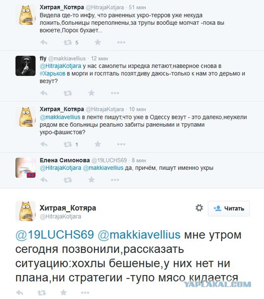 Перемирие кончилось, едва начавшись.