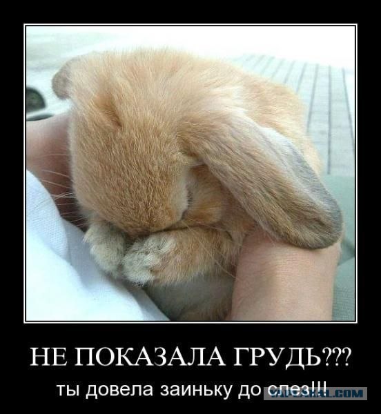 Презентация для девушек "Сиськи- их НУЖНО трогать"