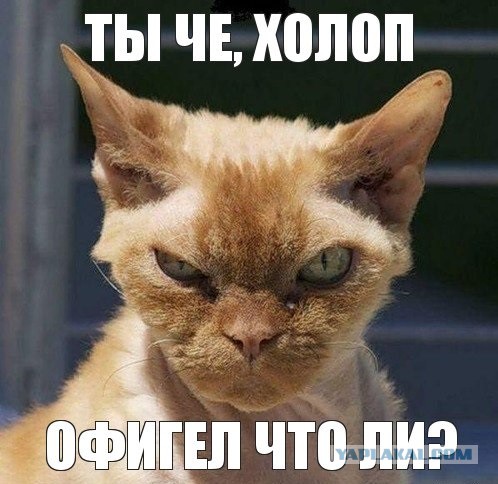 ЯП - зона охвата расширяется