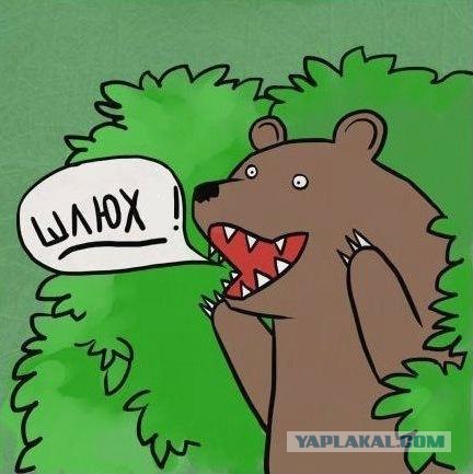 Образованный мачо приглашает дам