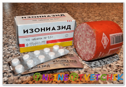 Как я сегодня решил стать догхантером