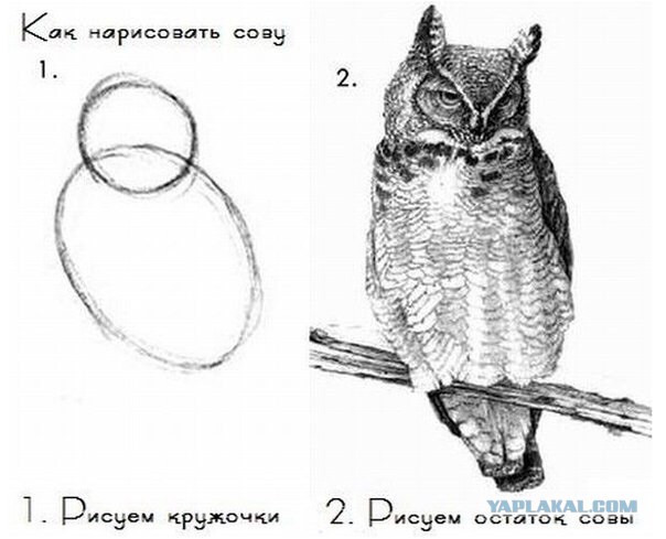 История одного ремонта дубль 2
