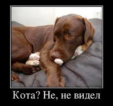 Я тихонечко... Я совсем не помешаю