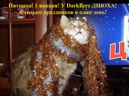 Утро 1 го января