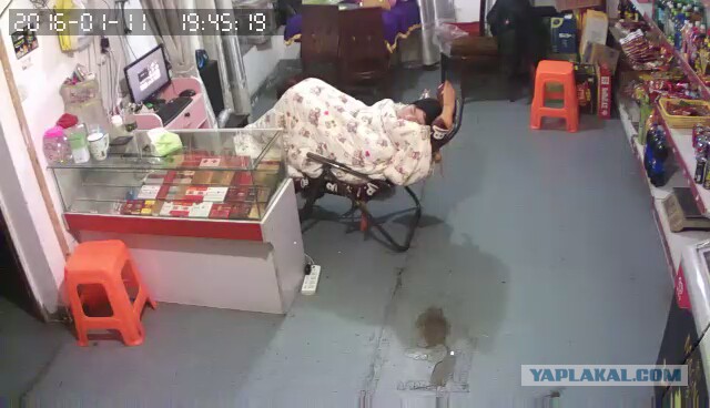 За что я люблю китайцев