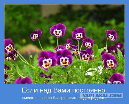Картинки разные