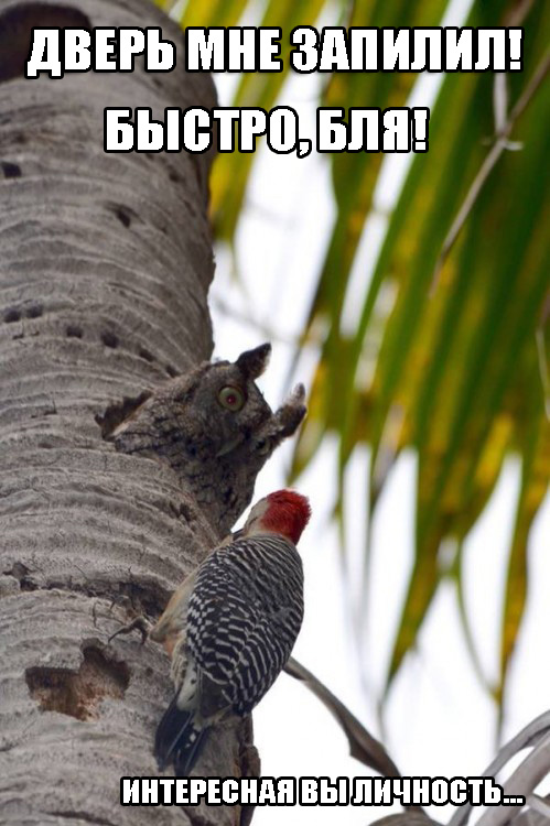 Подборка интересных и веселых картинок