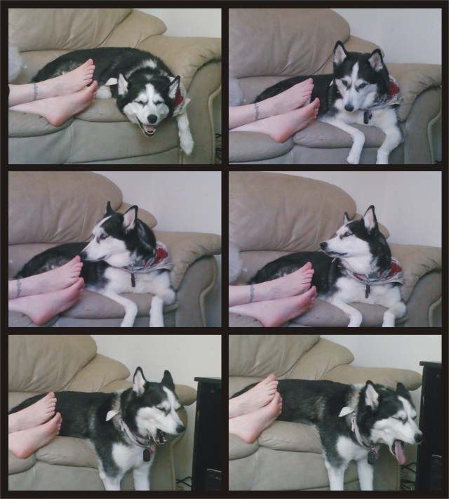 Абсурдный юмор ч.25