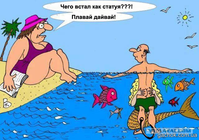 Как правильно прикармливать рыбу