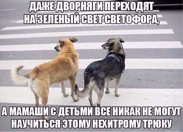 Юмор не для всех