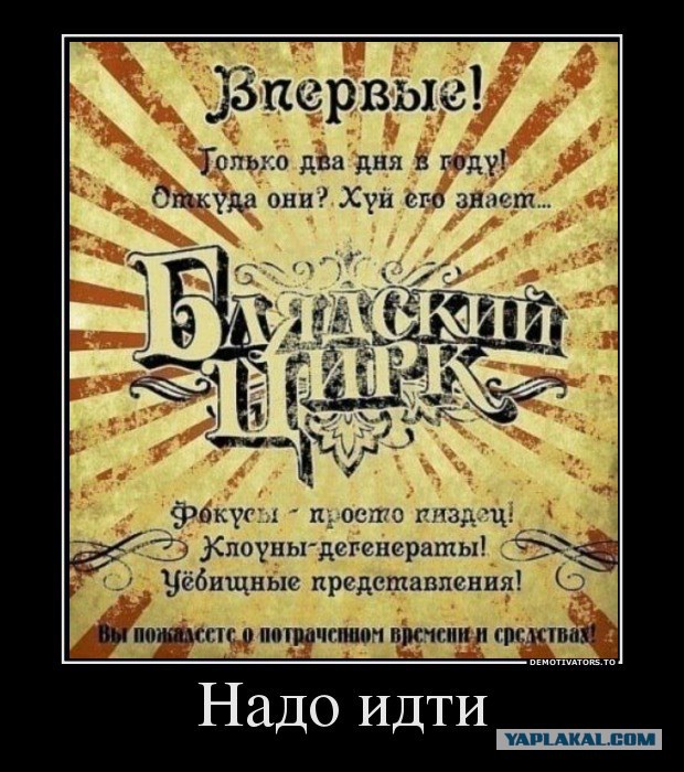 Хороший тамада