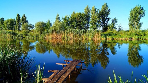 Картинки для отдыха глаз