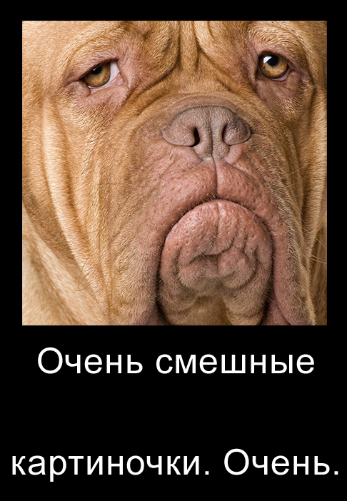 Порция позитива на вторник