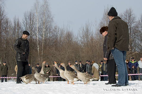 Стенка на стенку, один на один!