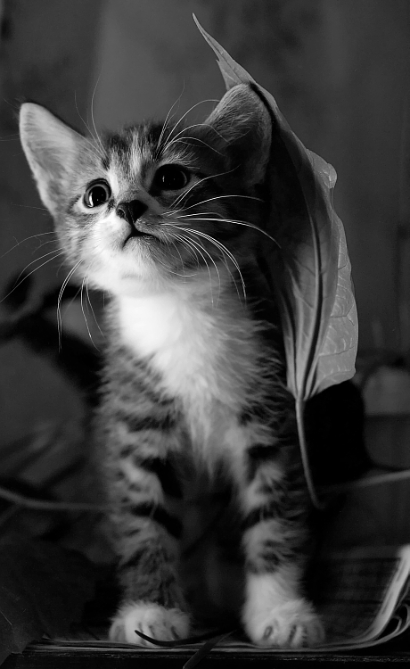 Открытка я думаю о тебе. Спокойной ночи я рядом с тобой. Думаю о тебе картинки. Стикеры я тебя люблю в телеграмм. Я думаю о тебе.