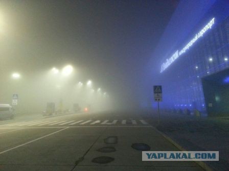 Самолет "Аэрофлота" стал единственным воздушным судном, которое смогло совершить посадку в аэропорту Пекина в условиях смога.