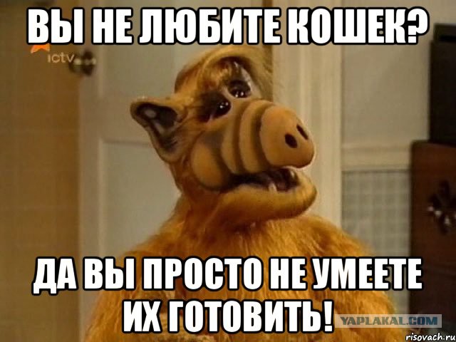 Читайте договора! Не дайте себя развести!
