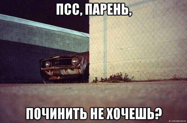 Подборка безудержного веселья