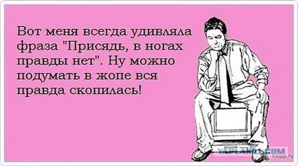 Подборка перлов и высказываний