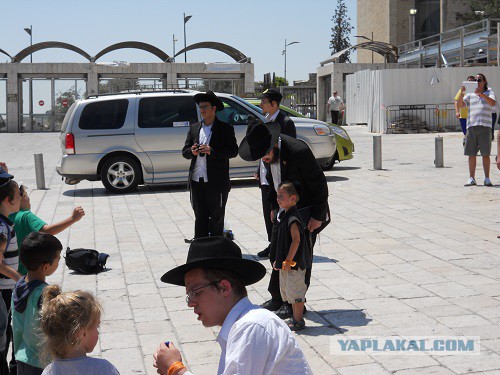 Ультраортодоксальные евреи митингуют против службы в армии