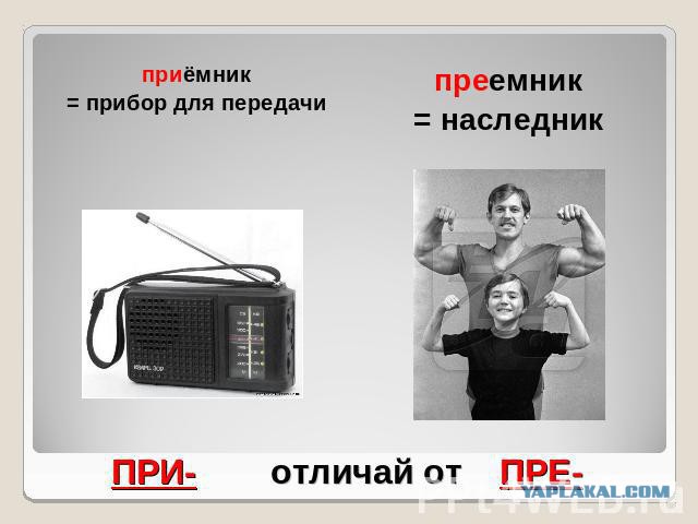 https://s00.yaplakal.com/pics/pics_original/8/7/0/10368078.jpg