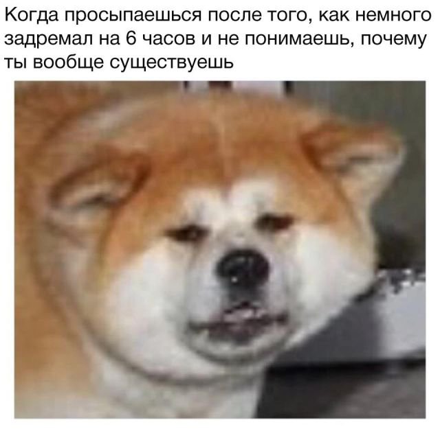 Ерундушки на четверг.