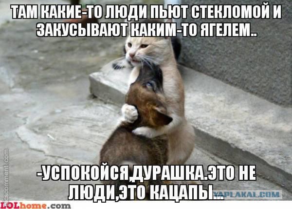 Крымский мост. Едем по Крымскому мосту