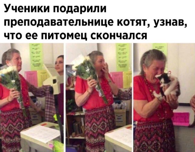 Подборка интересных и веселых картинок