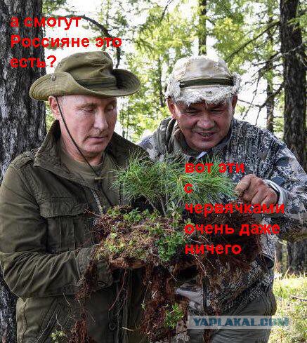 Давеча тут Путин отдыхал в Тыве с Кужугетовичем
