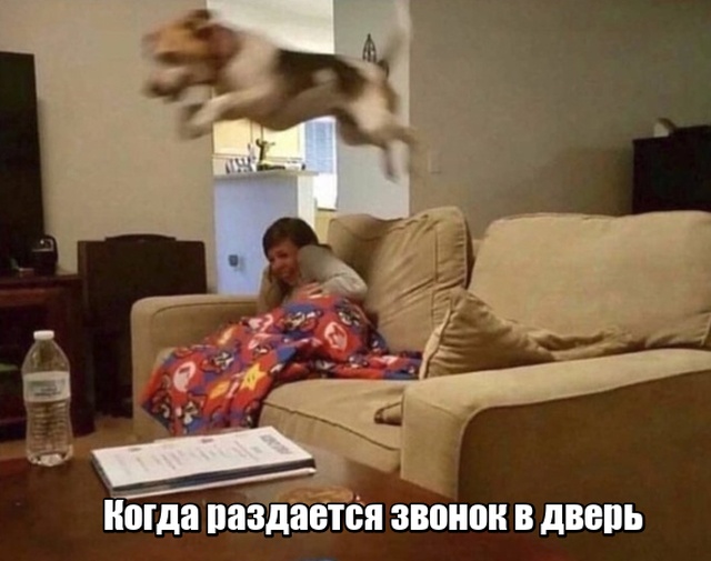Нестандартный юмор
