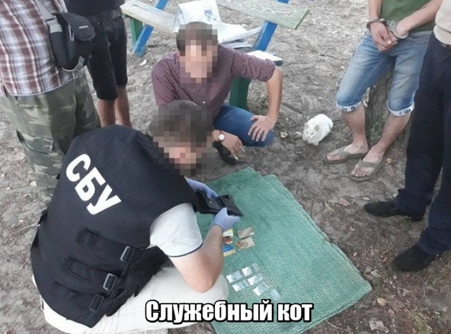 Немного милоты