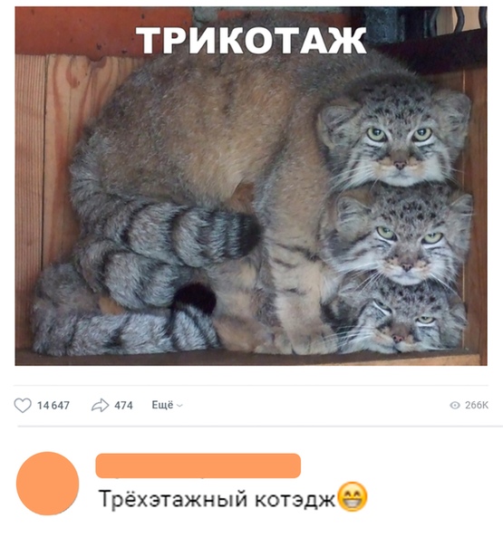 Немного веселых картинок из этих наших интернетов