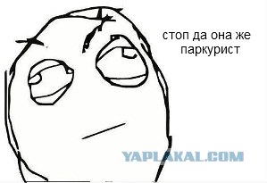 Крыс - акробат и эквилибрист