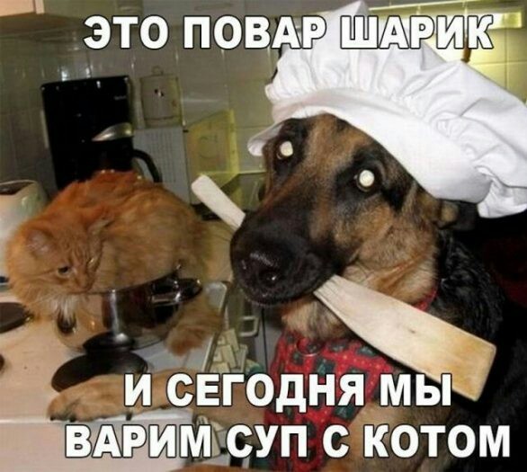 Картинки с надписями