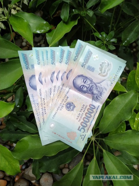 Подборка кубиков на выходные 24.08.19