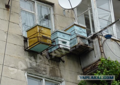 Опасные соседи