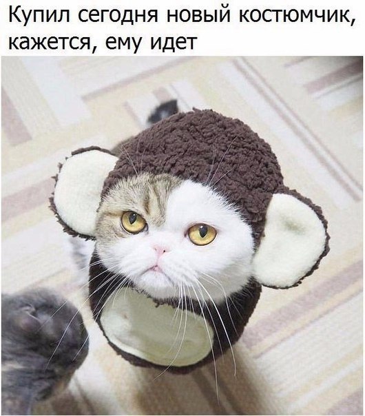 Чуток картинок 07.04.20